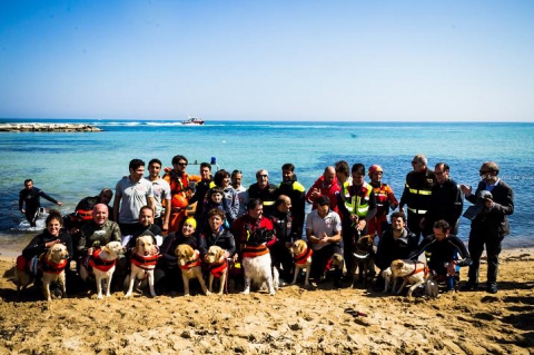 Balù, Aisha, Ares: i cani da salvataggio, ''angeli del mare'' di Bari